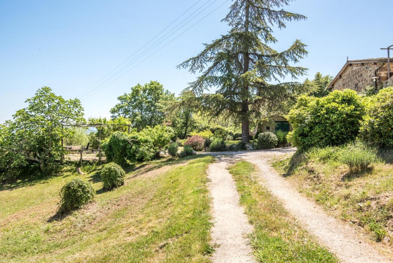 Appartamento Gemma Bianca-Tavoleto Castiglione d'Orcia Ngoại thất bức ảnh