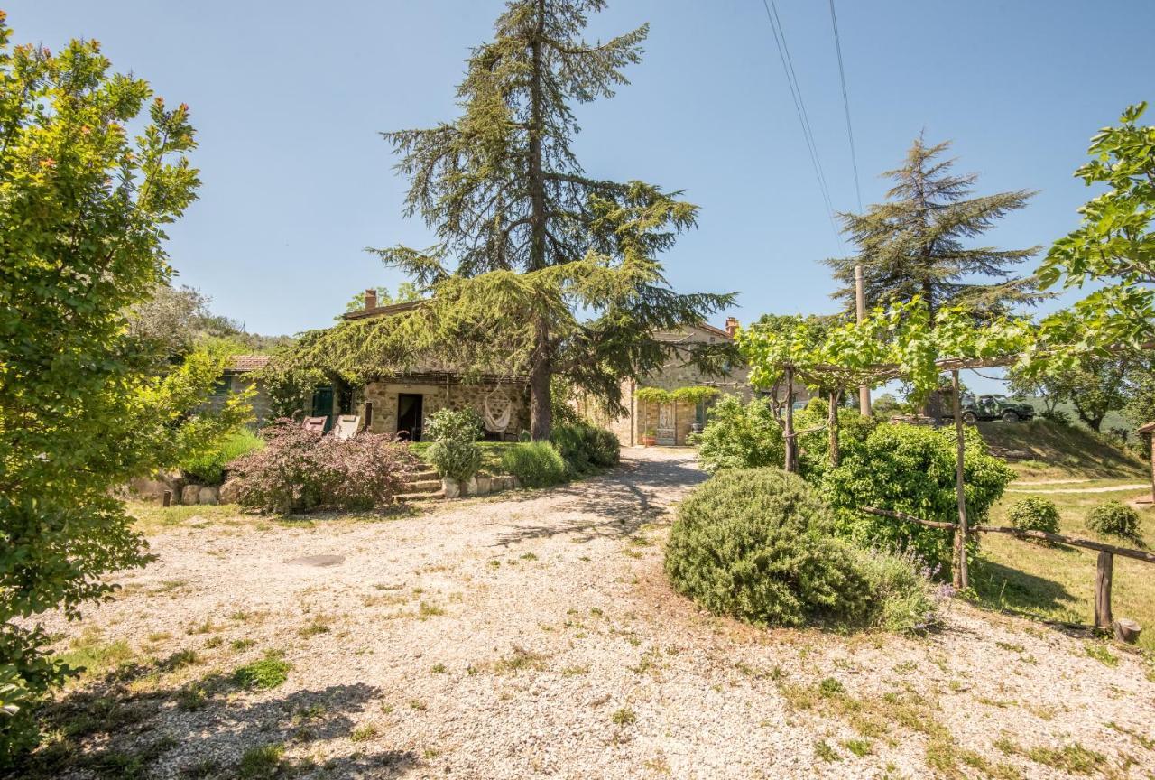 Appartamento Gemma Bianca-Tavoleto Castiglione d'Orcia Ngoại thất bức ảnh