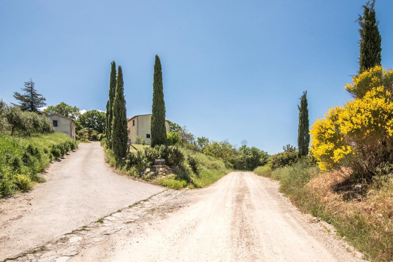 Appartamento Gemma Bianca-Tavoleto Castiglione d'Orcia Ngoại thất bức ảnh